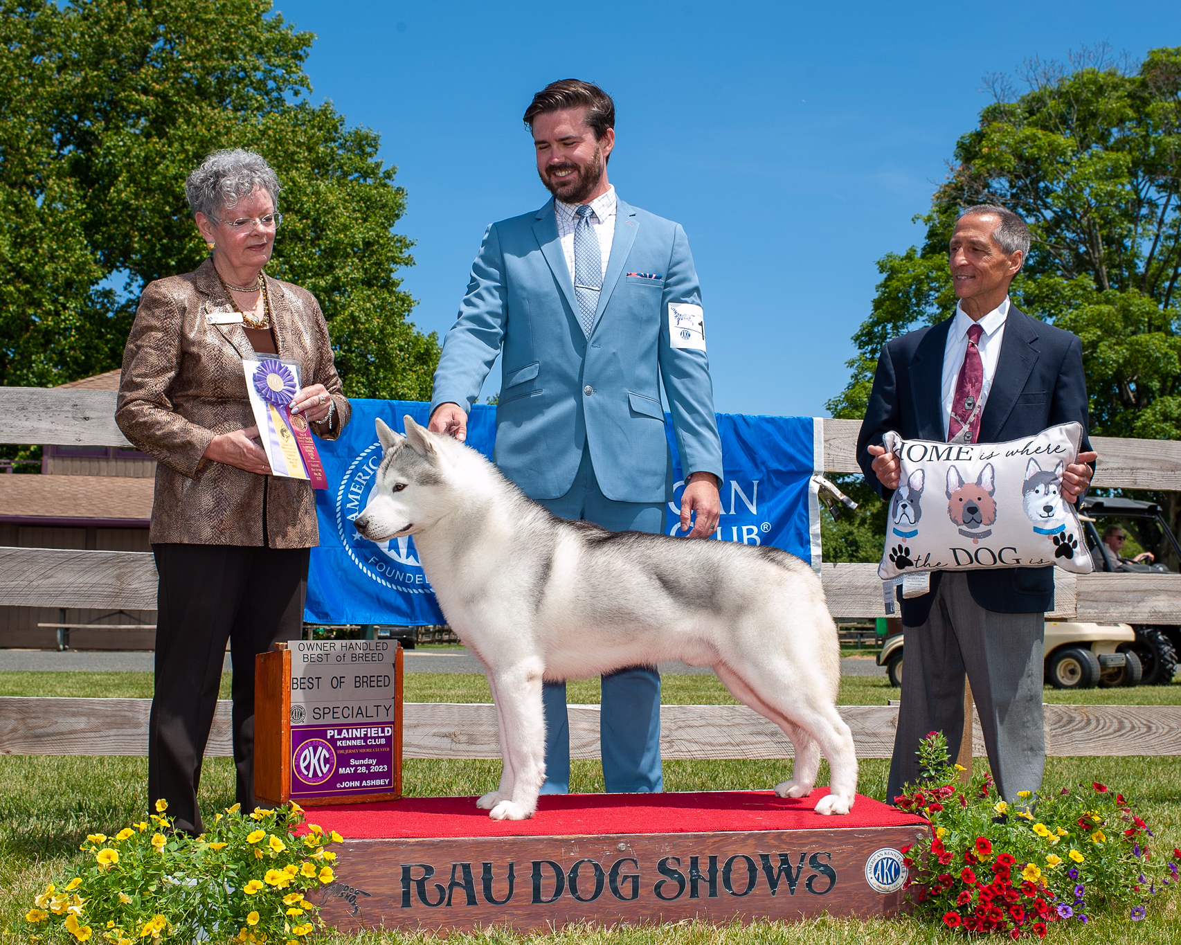 New Hampshire AKC Siberian Husky Puppies