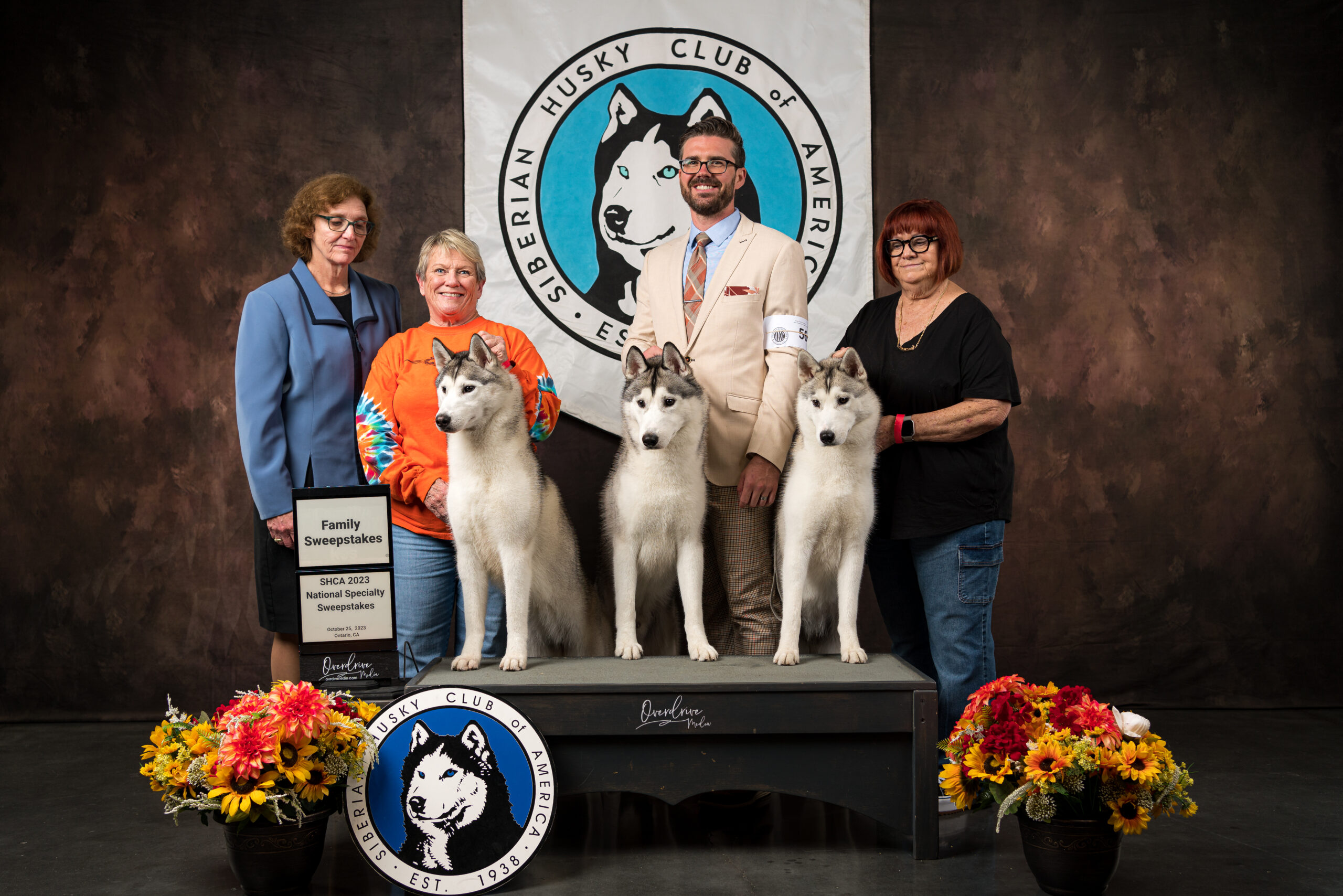 New Hampshire Husky Puppies