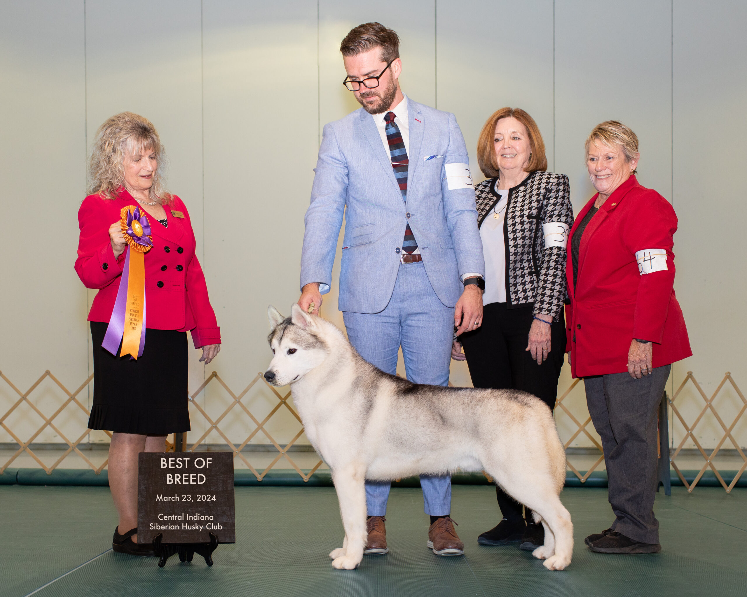 AKC Siberian Husky Puppies New Hampshire