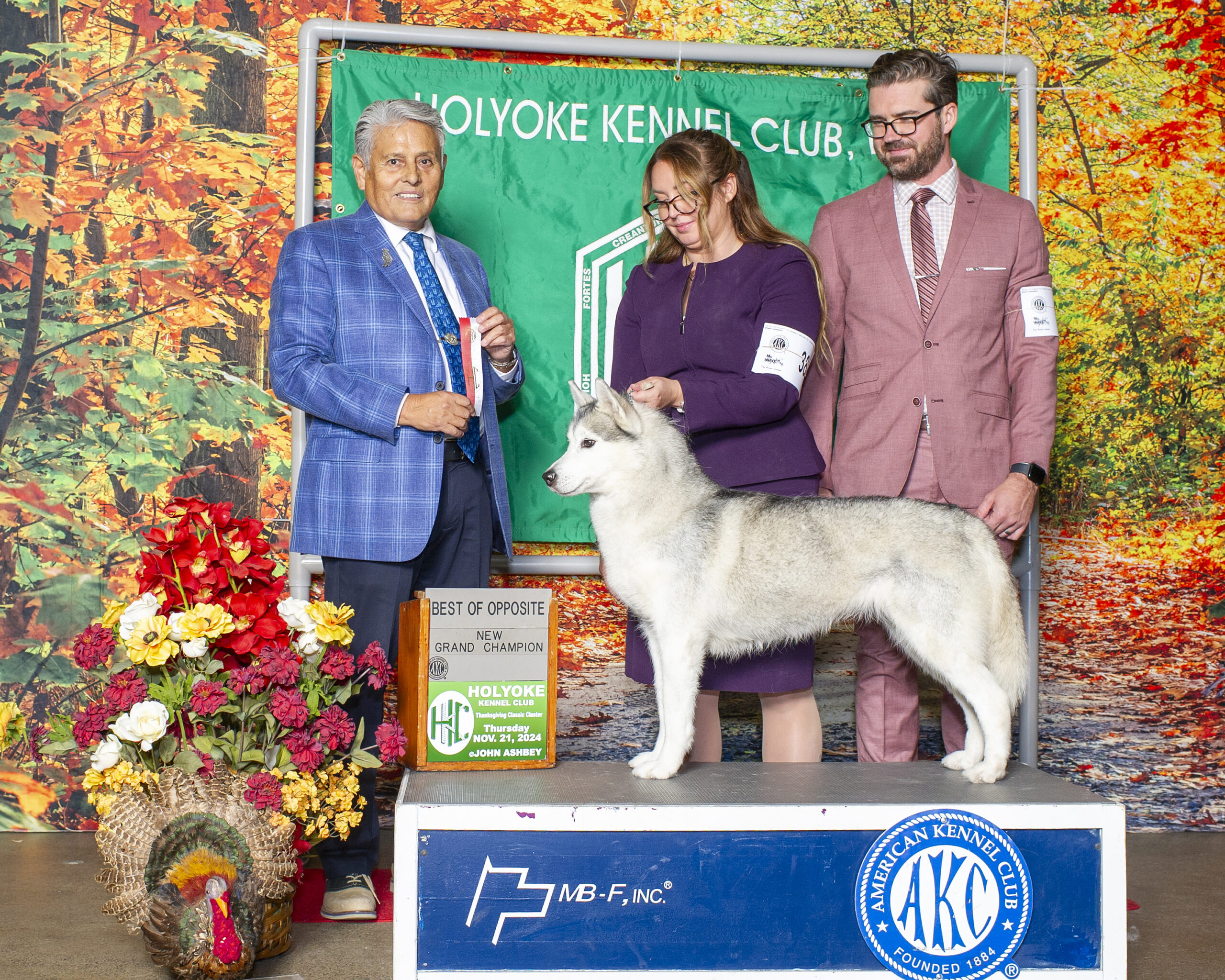 Massachusetts Siberian Husky Puppies