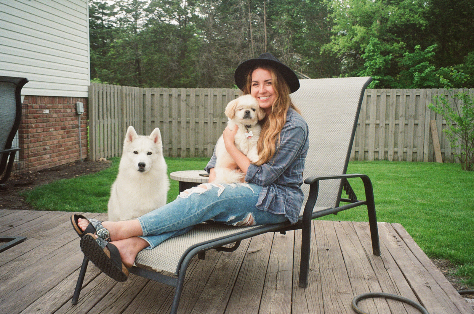 New England Siberian Husky Puppies