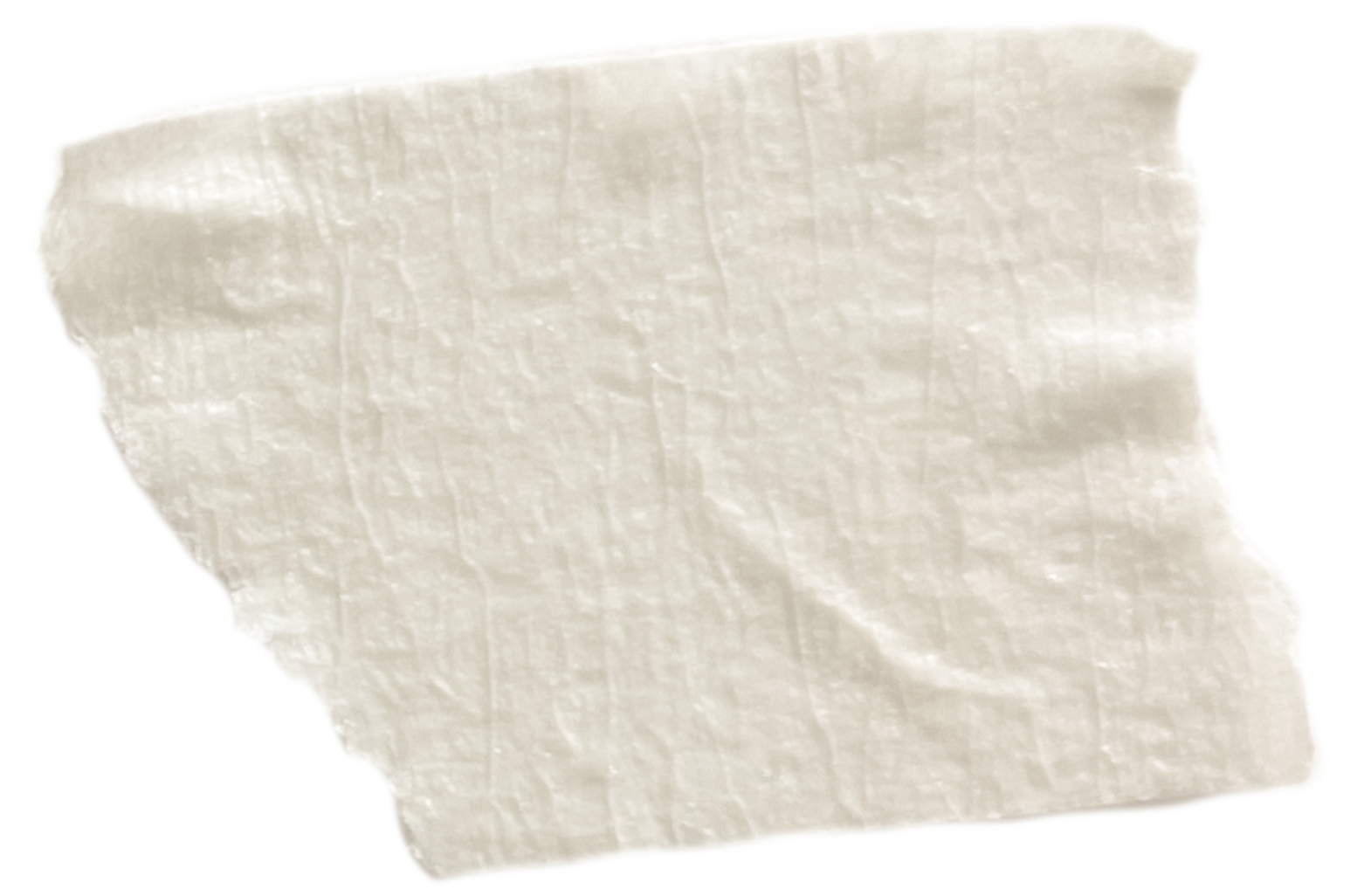 New England Siberian Husky Puppies