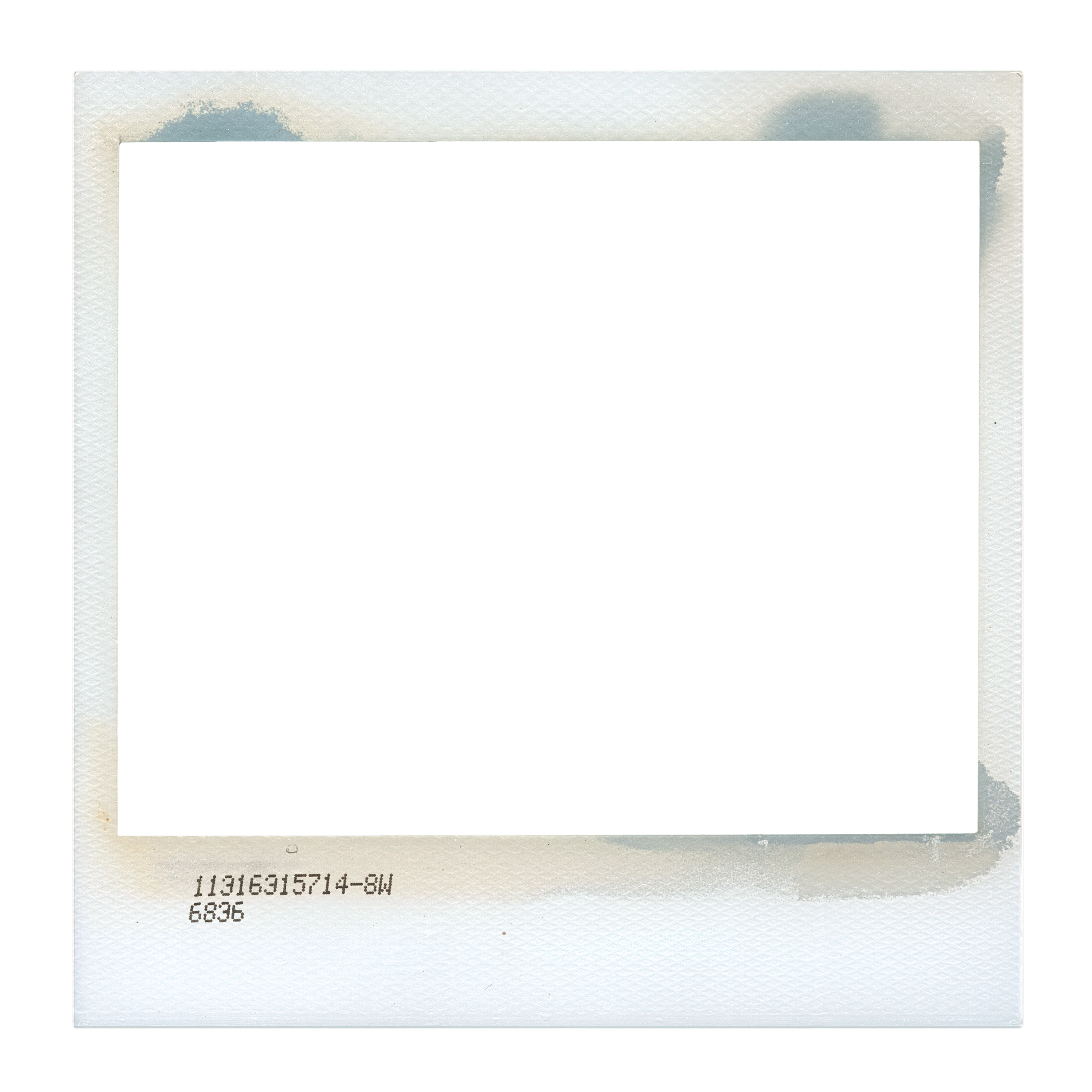 New England Siberian Husky Puppies