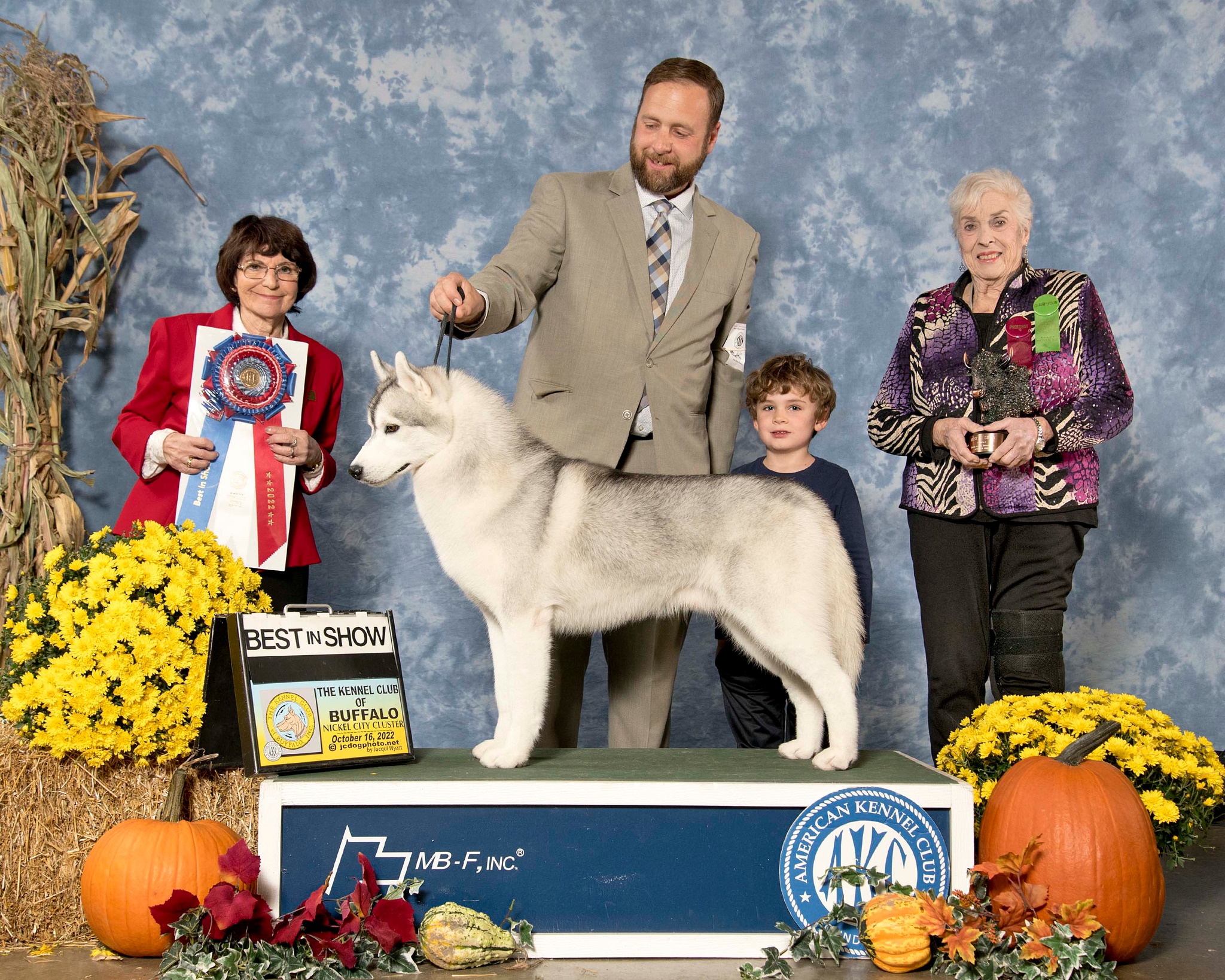 New England Siberian Husky Puppies