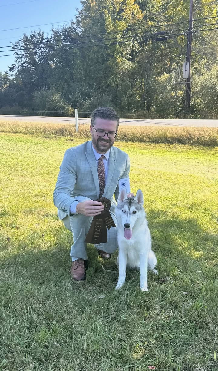 New England Siberian Husky Puppies