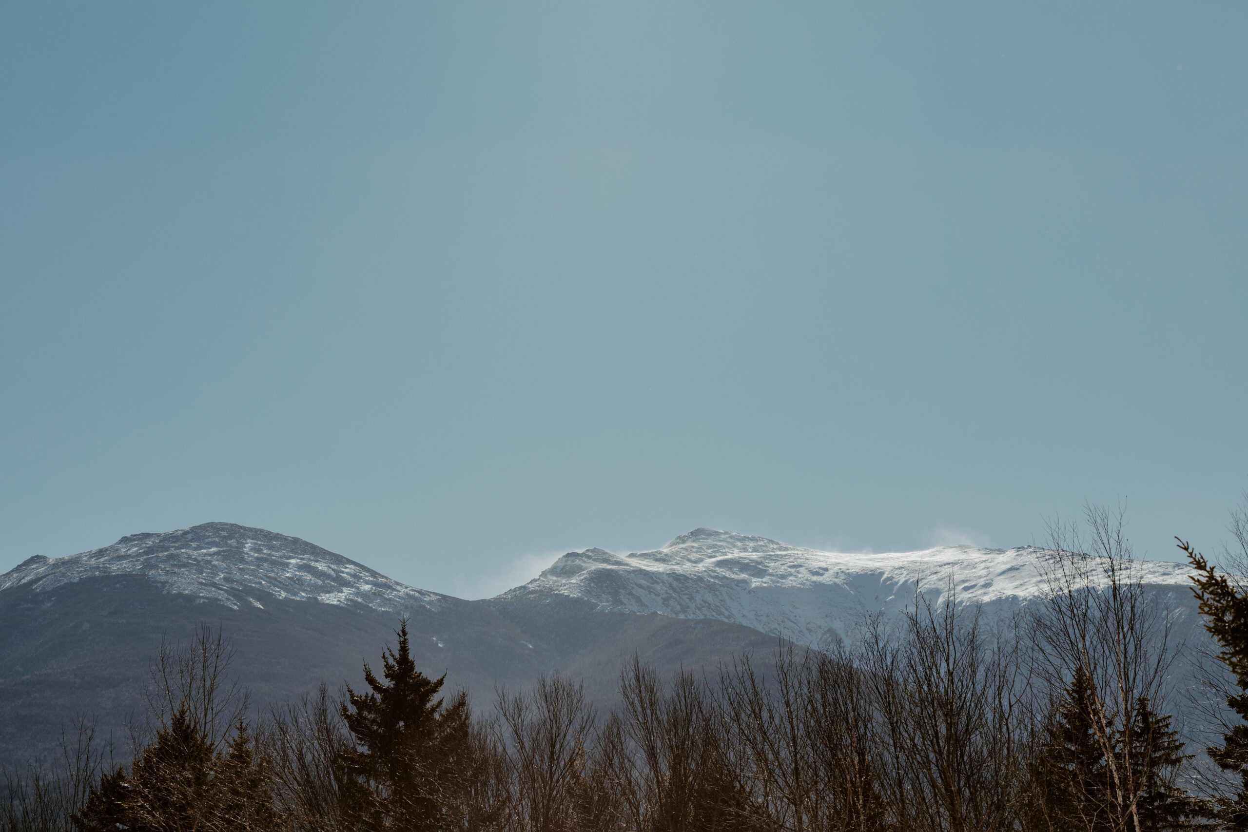 New England Siberian Husky Puppies