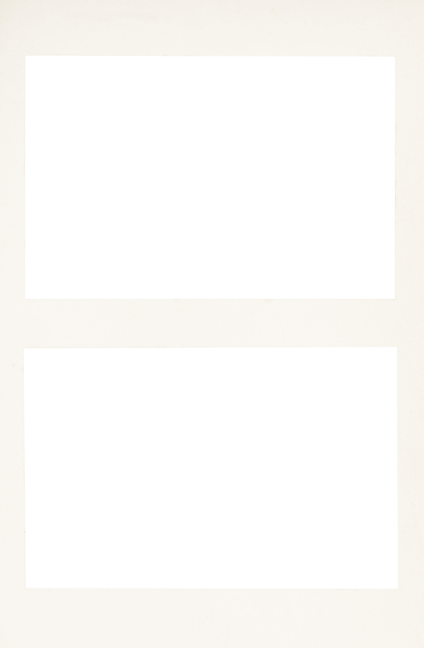 New England Siberian Husky Puppies