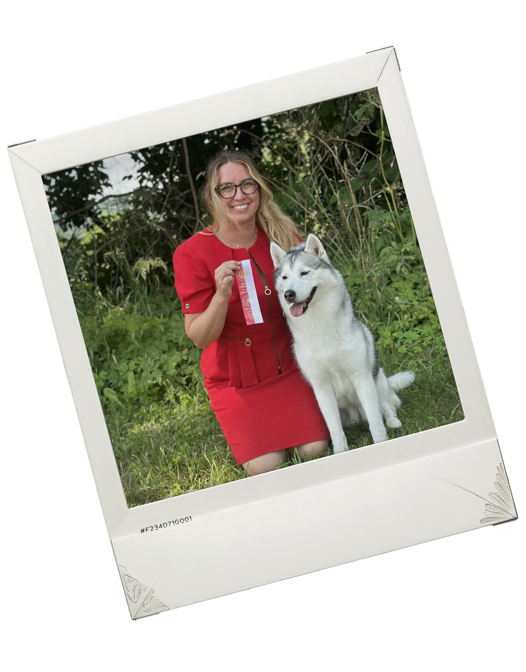 New England Siberian Husky Puppies