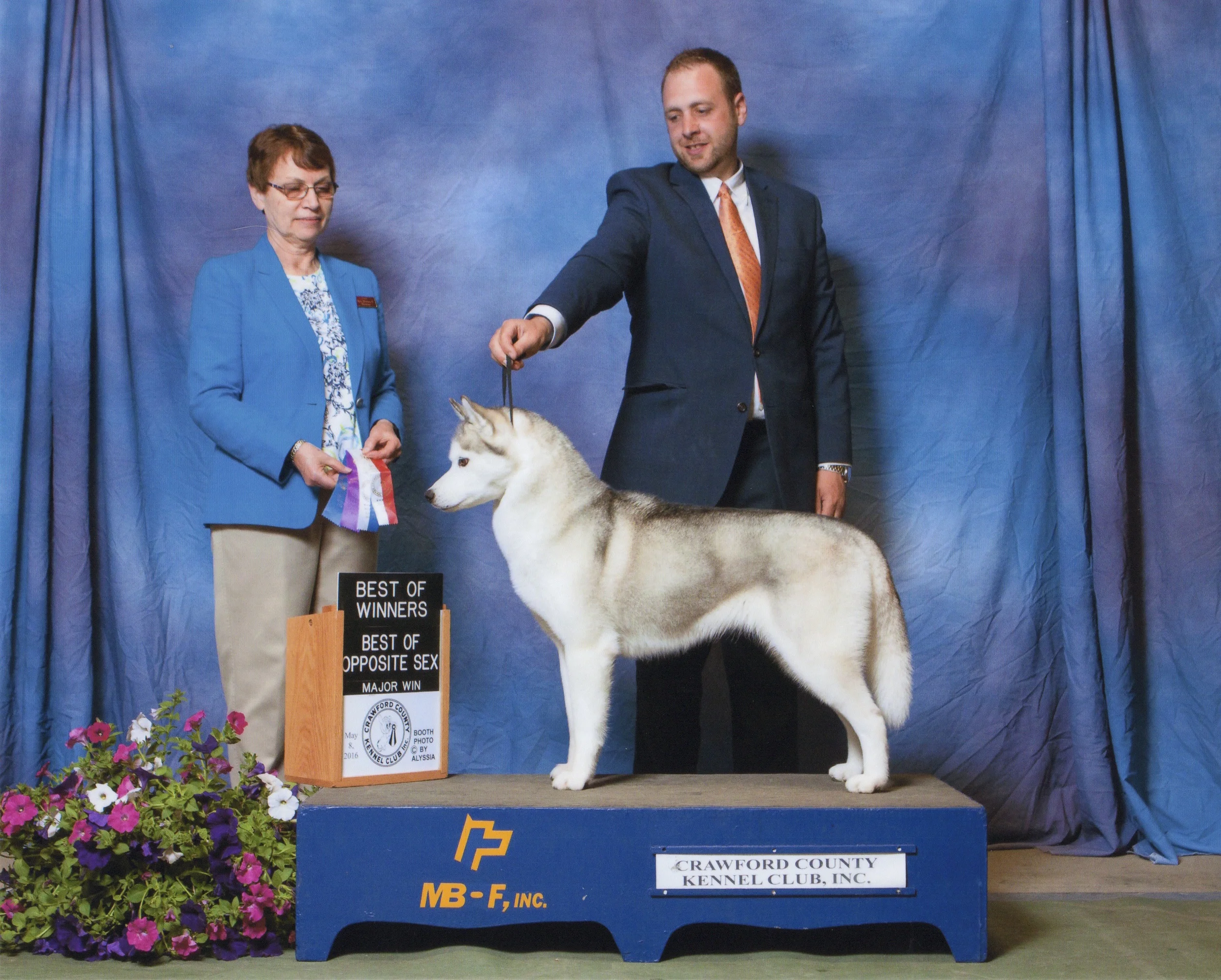 New England Siberian Husky Puppies